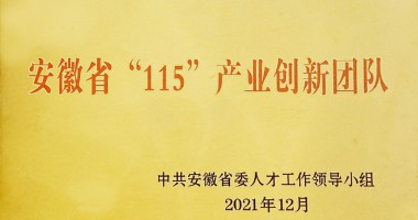 芜湖市市委组织部为华夏光电安徽省“115”产业创新团队授牌