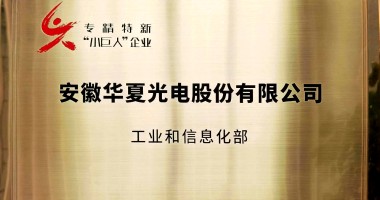 关于公司2025年专精特新“小巨人”复核通过的公告